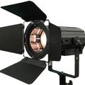 Прокат Anzhee P200 COB-W ZOOM